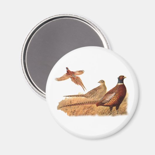 Elusieve jacht op fazanten magneet (Voorkant / Achterkant)