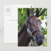 Elusieve kwaliteit, niet beschikbaar briefkaart (Voorkant / Achterkant)