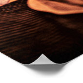 Elusieve President Jackson Poster (Hoek)