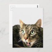 Elvis Briefkaart (Voorkant / Achterkant)