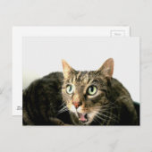 Elvis Briefkaart (Voorkant / Achterkant)