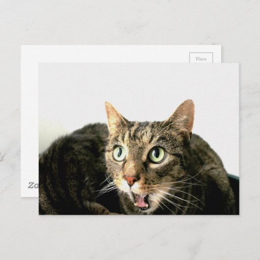 Elvis Briefkaart (Voorkant / Achterkant)