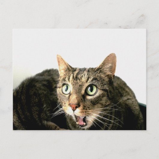 Elvis Briefkaart (Voorkant)