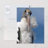 Elvis - La Carte Postale De La Bouche De Bois (Devant / Derrière)