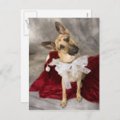 Elzasser Kerstmis Feestdagenkaart (Voorkant / Achterkant)