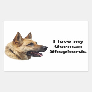 Elzassisch Duits herderderportret Rechthoekige Sticker