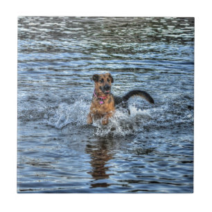 Elzassisch German Shepherd Dog-lover Gift Tegeltje