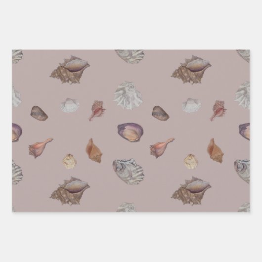 Emballage cadeau de coquillages neutres (Devant)