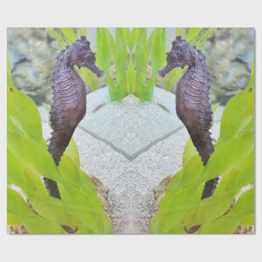 Emballage cadeau Seahorse (Plat)