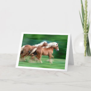 Emballage de la carte de voeux de chevaux de