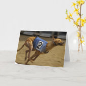 Emballage de la carte de voeux de lévrier (Fleur jaune)