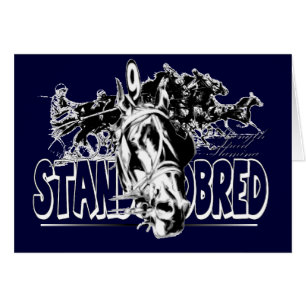 Emballage de Standardbred