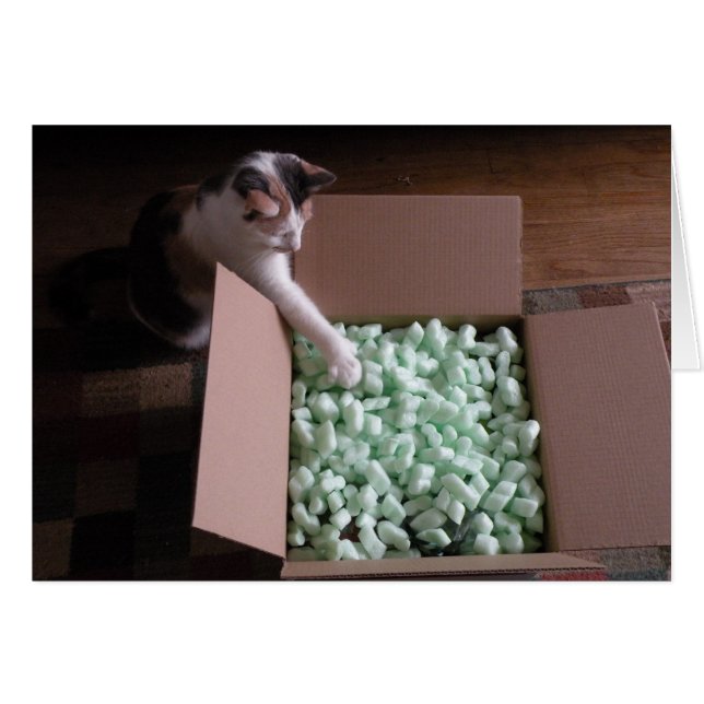 Emballé avec carte - chat (Devant Horizontal)