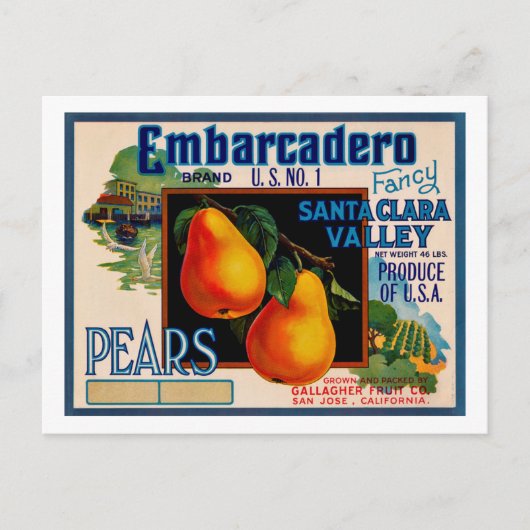 Embarcadero Fancy Santa Clara Pears Briefkaart (Voorkant)