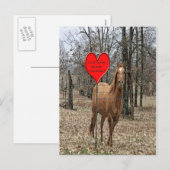 Embarquez autour de la carte postale Valentine (Devant / Derrière)