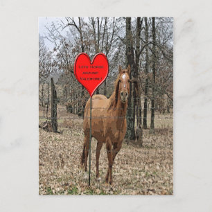 Embarquez autour de la carte postale Valentine