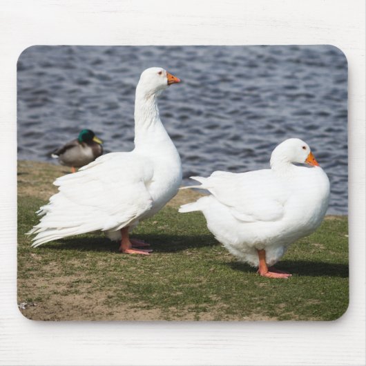 Embden Geese Muismat (Voorkant)
