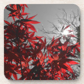 Embers of Autumn Bier Onderzetter (Voorkant)