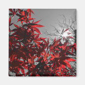 Embers of Autumn Magneet (Voorkant)