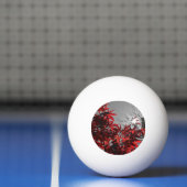 Embers of Autumn Pingpongballen (Net)