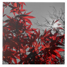 Embers of Autumn Tegeltje