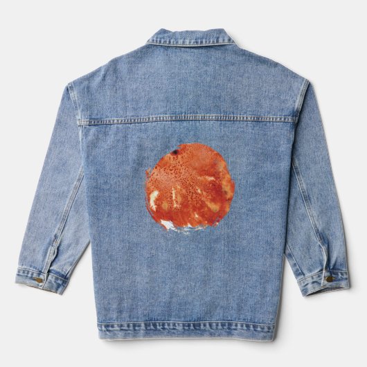 Emberwash Echo Denim Jacket (Achterkant)