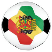 emblème de la République du Congo (Tourné)