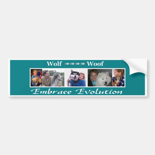 Embrace Evolution Bumpersticker (Voorkant)
