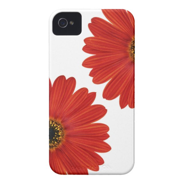 Embrace Happiness Daisies Case-Mate iPhone Case (Achterkant)