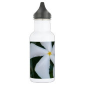 Embrace.JPG Waterfles (Links)