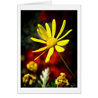 Embrassé par le soleil