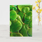 EMBRASSEZ-MOI JE SUIS IRLANDAIS CARTE ROMANTIQUE D (Fleur jaune)