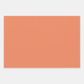 Embroidery Stitches Floral Inpakpapier Vel (Voorkant 3)