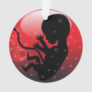EMBRYO BÉBÉ HUMAIN