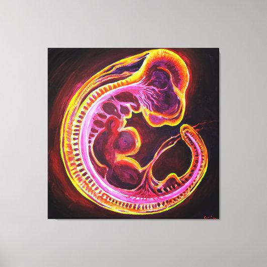 Embryo Canvas Afdruk (Voorkant)