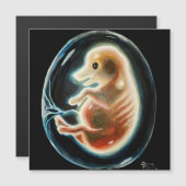 Embryo van varkens (Voorkant / Achterkant)