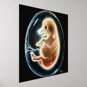 Embryo van varkens folie afdrukken (Laagn)