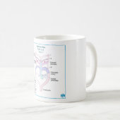 Embryologie des arches arctiques DITKI Mug (Devant droit)