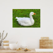 Emden Goose Poster (Keuken)