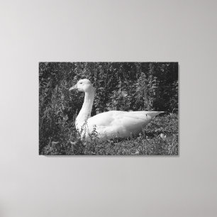 Emder gans canvas afdruk