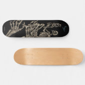 Emek "Skeletonbird" Skateboard (Horizontaal)
