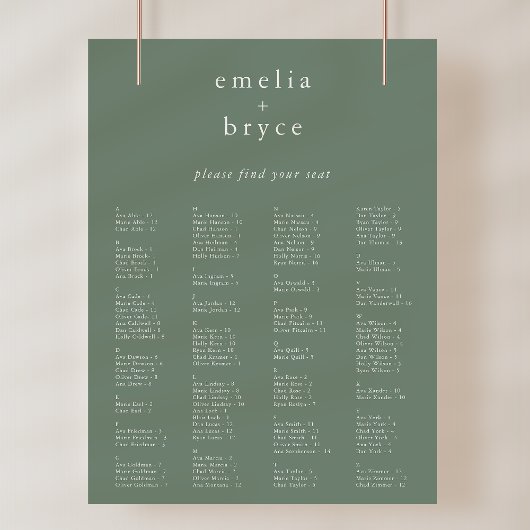 EMELIA Sage Moderne Trouwstoel Grafiek Sjabloon Poster