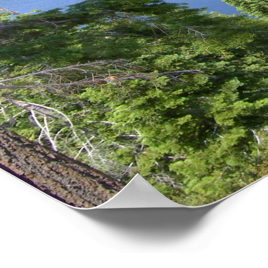 Emerald Bay Vikingsholm Castle Collection POSTER (Coin)