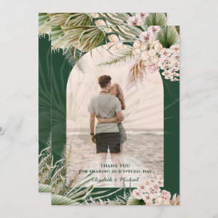 Emerald Green Pampas Herbe PHOTO MERCI