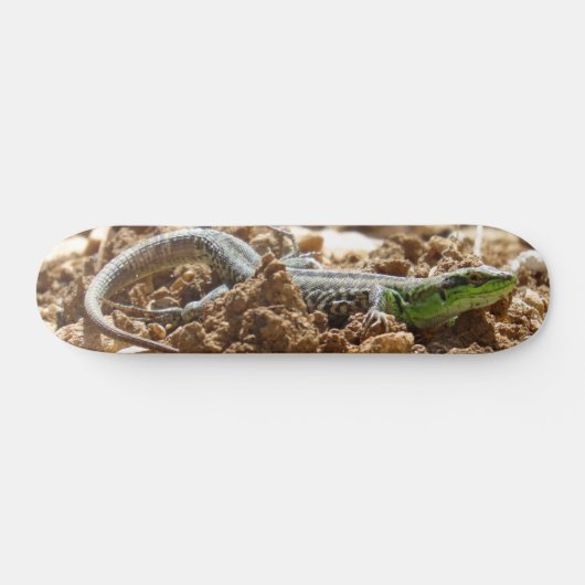 Emerald lizard Salamander op aarde Skateboard (Horizontaal)