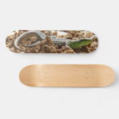 Emerald lizard Salamander op aarde Skateboard (Horizontaal)