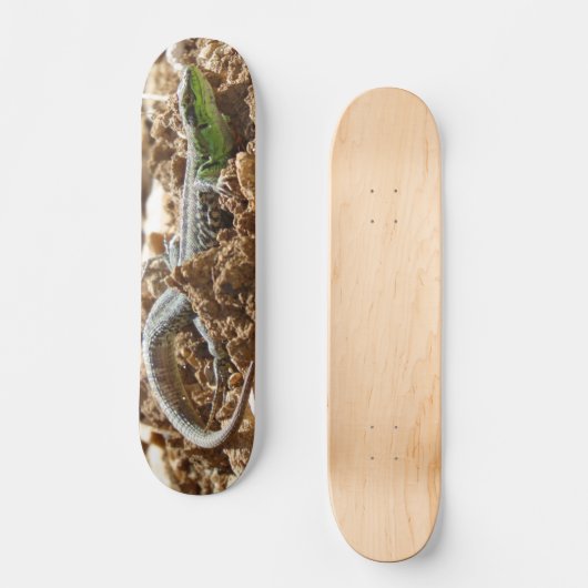 Emerald lizard Salamander op aarde Skateboard (Voorkant)
