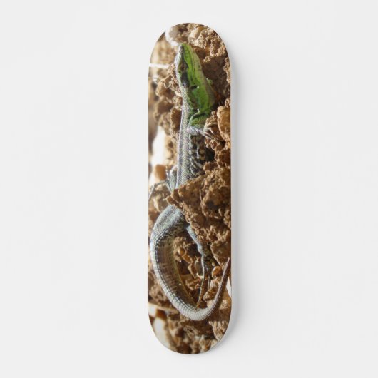 Emerald lizard Salamander op aarde Skateboard (Voorkant)
