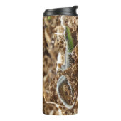 Emerald lizard Salamander op aarde Thermosbeker (Gedraaid links)