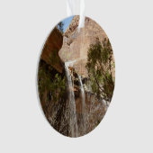 Emerald Pool Falls I du parc national de Zion (devant)